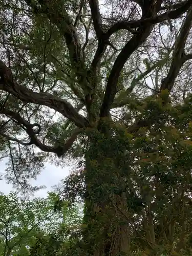 北辰神社の自然