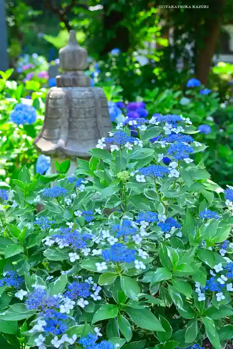 妙楽寺(神奈川県)
