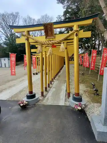 ほしいも神社の鳥居