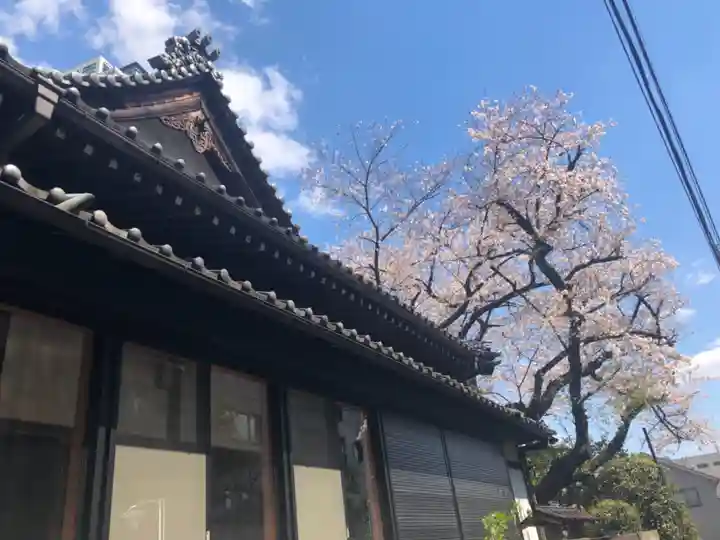 専称寺のその他建物
