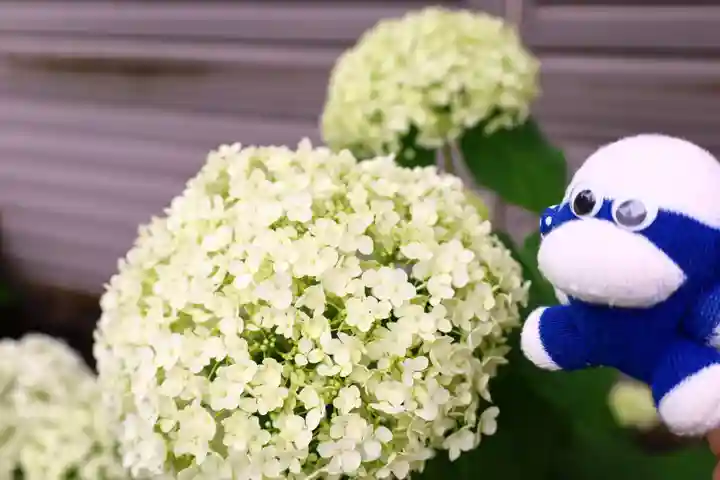 白山神社(東京都)