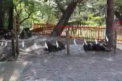 生島足島神社の建物その他