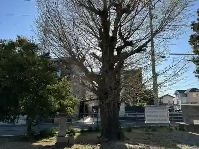 王子和多津美神社の{uncategorized: "未分類", other: "その他", undefined: "問題あり", building: "その他建物", grave: "お墓", sacred_gate: "鳥居", guardian: "狛犬", statue: "像", buddha: "仏像", history: "歴史", nature: "自然", garden: "庭園", animal: "動物", pagoda: "塔", temizu: "手水舎", mountain_gate: "山門・神門", sanctuary: "本殿・本堂", subordinate: "末社・摂社", art: "芸術", scenery: "景色", jizo: "地蔵", ema: "絵馬", goshuin: "御朱印", omikuji: "おみくじ", items: "授与品その他", amulet: "お守り", goshuincho: "御朱印帳", eats: "食事", festival: "お祭り", votive_dance: "神楽", shichigosan: "七五三参", wedding: "結婚式", experience: "体験その他", initially: "初詣", around: "周辺", anti_infection: "感染症対策"}