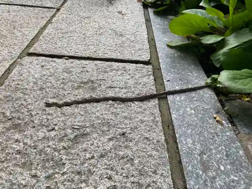 長光寺(長野県)