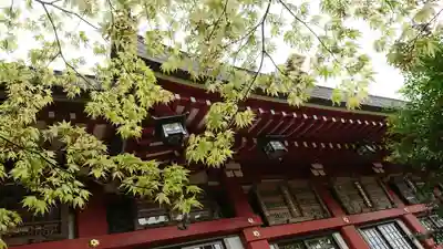 大山阿夫利神社のその他建物