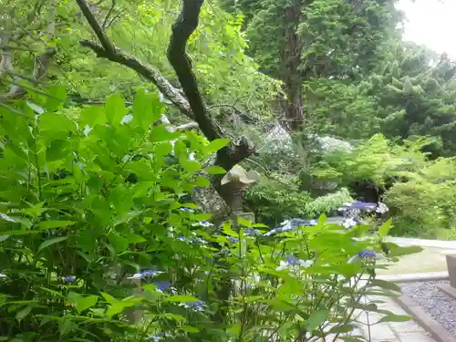安國論寺（安国論寺）の庭園
