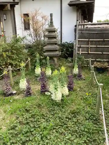 常栄寺の庭園