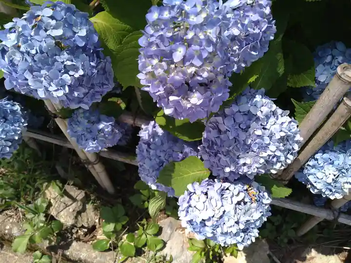 千光寺(福岡県)