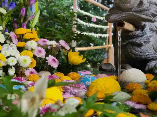 滑川神社 - 仕事と子どもの守り神の手水