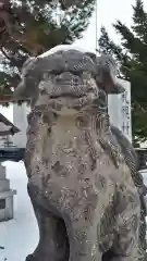 札幌村神社の狛犬