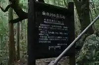 地主神社(桑の川の鳥居杉)(高知県)