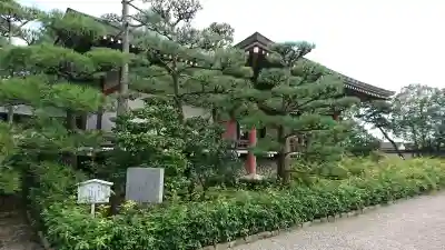 法隆寺の{uncategorized: "未分類", other: "その他", undefined: "問題あり", building: "その他建物", grave: "お墓", sacred_gate: "鳥居", guardian: "狛犬", statue: "像", buddha: "仏像", history: "歴史", nature: "自然", garden: "庭園", animal: "動物", pagoda: "塔", temizu: "手水舎", mountain_gate: "山門・神門", sanctuary: "本殿・本堂", subordinate: "末社・摂社", art: "芸術", scenery: "景色", jizo: "地蔵", ema: "絵馬", goshuin: "御朱印", omikuji: "おみくじ", items: "授与品その他", amulet: "お守り", goshuincho: "御朱印帳", eats: "食事", festival: "お祭り", votive_dance: "神楽", shichigosan: "七五三参", wedding: "結婚式", experience: "体験その他", initially: "初詣", around: "周辺", anti_infection: "感染症対策"}