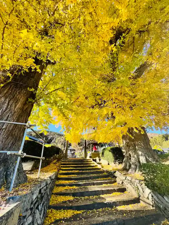 吉祥寺(宮城県)