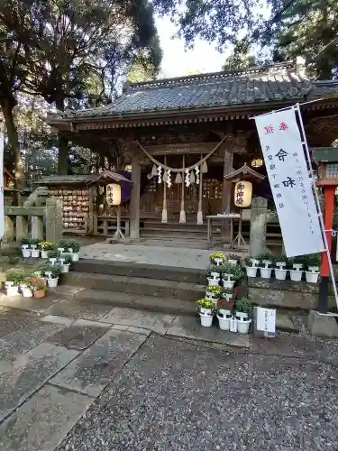 間々田八幡宮の本殿