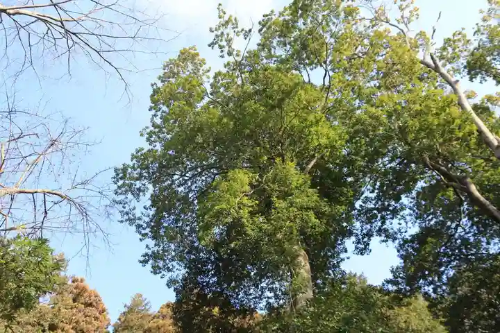 見渡神社の自然
