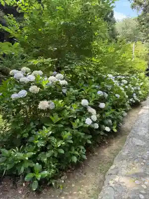 桜井大神宮(福岡県)