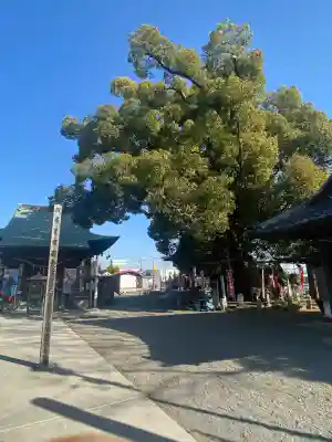 遍照院の{uncategorized: "未分類", other: "その他", undefined: "問題あり", building: "その他建物", grave: "お墓", sacred_gate: "鳥居", guardian: "狛犬", statue: "像", buddha: "仏像", history: "歴史", nature: "自然", garden: "庭園", animal: "動物", pagoda: "塔", temizu: "手水舎", mountain_gate: "山門・神門", sanctuary: "本殿・本堂", subordinate: "末社・摂社", art: "芸術", scenery: "景色", jizo: "地蔵", ema: "絵馬", goshuin: "御朱印", omikuji: "おみくじ", items: "授与品その他", amulet: "お守り", goshuincho: "御朱印帳", eats: "食事", festival: "お祭り", votive_dance: "神楽", shichigosan: "七五三参", wedding: "結婚式", experience: "体験その他", initially: "初詣", around: "周辺", anti_infection: "感染症対策"}