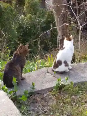 南禅寺(京都府)