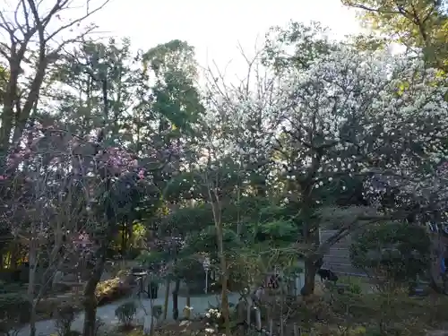 報徳二宮神社の庭園