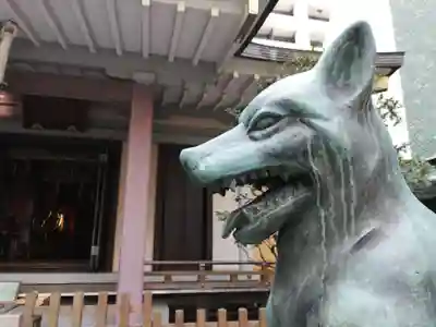 宮益御嶽神社の狛犬