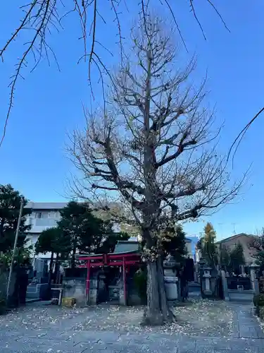 浄蓮寺(神奈川県)