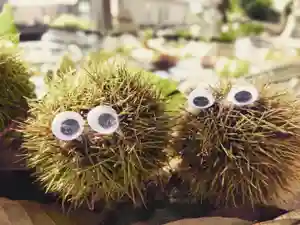 立志神社(滋賀県)(2021年09月06日(月) 12時35分59秒投稿)
