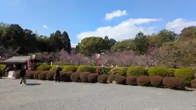 隨心院（随心院）(京都府)