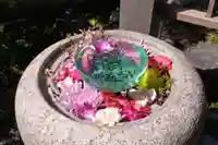 尾張猿田彦神社(愛知県)