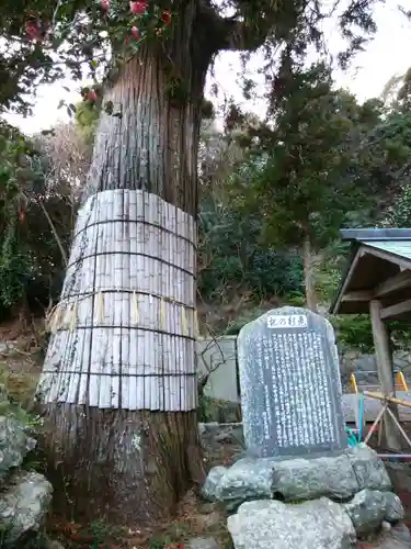 賀多神社(三重県)