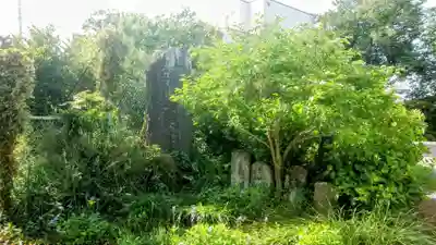 井野天満神社(茨城県)