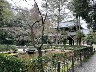 妙興報恩禅寺（妙興寺）の{uncategorized: "未分類", other: "その他", undefined: "問題あり", building: "その他建物", grave: "お墓", sacred_gate: "鳥居", guardian: "狛犬", statue: "像", buddha: "仏像", history: "歴史", nature: "自然", garden: "庭園", animal: "動物", pagoda: "塔", temizu: "手水舎", mountain_gate: "山門・神門", sanctuary: "本殿・本堂", subordinate: "末社・摂社", art: "芸術", scenery: "景色", jizo: "地蔵", ema: "絵馬", goshuin: "御朱印", omikuji: "おみくじ", items: "授与品その他", amulet: "お守り", goshuincho: "御朱印帳", eats: "食事", festival: "お祭り", votive_dance: "神楽", shichigosan: "七五三参", wedding: "結婚式", experience: "体験その他", initially: "初詣", around: "周辺", anti_infection: "感染症対策"}