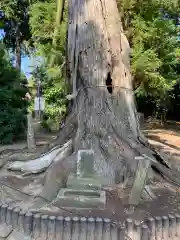 西宮神社(千葉県)