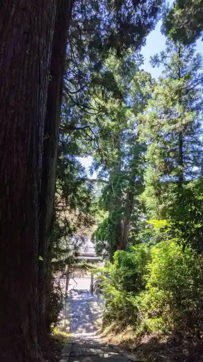 杉本神明神社の自然