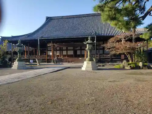 大通寺（長浜御坊）の本殿・本堂