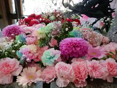 札幌諏訪神社の手水舎