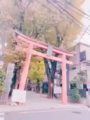 赤城神社の鳥居