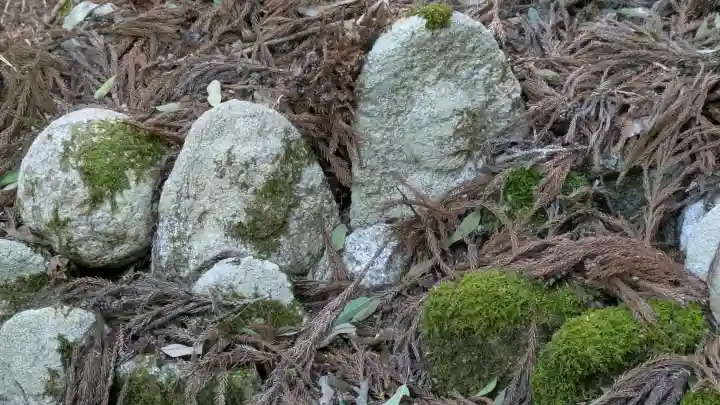 安楽寺釈迦堂の{uncategorized: "未分類", other: "その他", undefined: "問題あり", building: "その他建物", grave: "お墓", sacred_gate: "鳥居", guardian: "狛犬", statue: "像", buddha: "仏像", history: "歴史", nature: "自然", garden: "庭園", animal: "動物", pagoda: "塔", temizu: "手水舎", mountain_gate: "山門・神門", sanctuary: "本殿・本堂", subordinate: "末社・摂社", art: "芸術", scenery: "景色", jizo: "地蔵", ema: "絵馬", goshuin: "御朱印", omikuji: "おみくじ", items: "授与品その他", amulet: "お守り", goshuincho: "御朱印帳", eats: "食事", festival: "お祭り", votive_dance: "神楽", shichigosan: "七五三参", wedding: "結婚式", experience: "体験その他", initially: "初詣", around: "周辺", anti_infection: "感染症対策"}