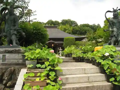 光明寺の本殿・本堂