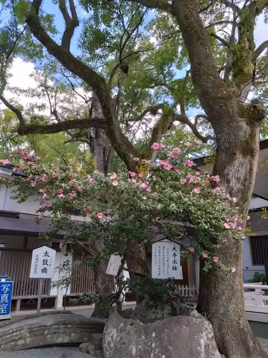 加藤神社の建物その他