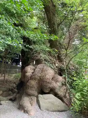 來宮神社(静岡県)