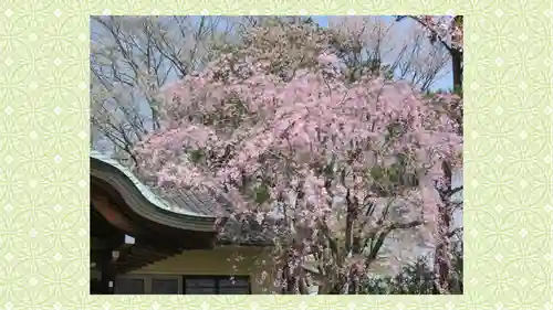 宮城縣護國神社の自然