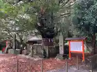 熊野速玉大社の自然