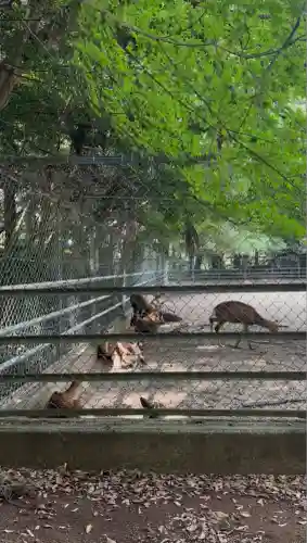 鹿島神宮(茨城県)