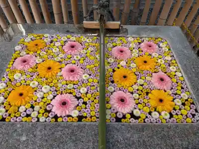 高円寺氷川神社(東京都)