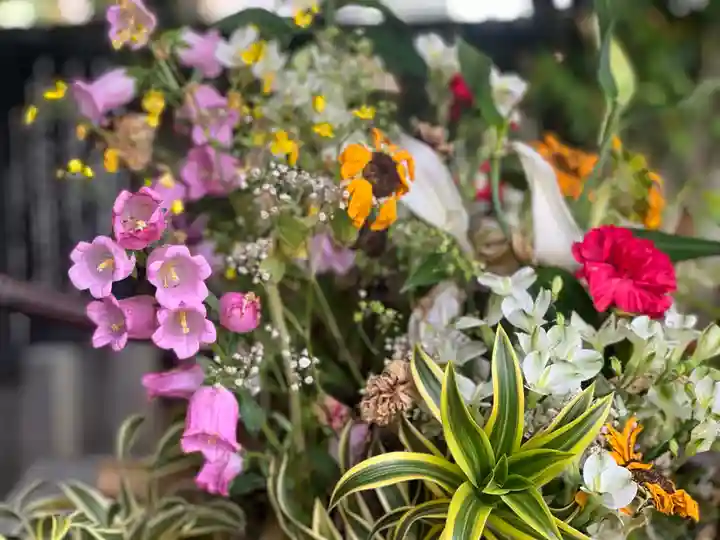 富知六所浅間神社の自然