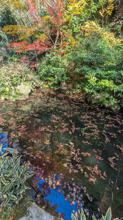 来迎院(京都府)