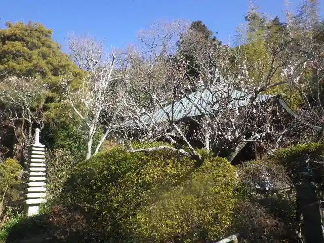 浄光明寺の庭園