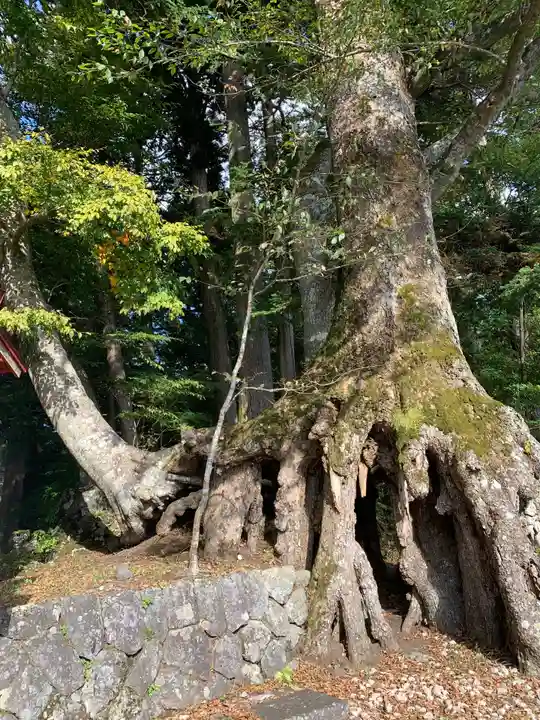富士山東口本宮 冨士浅間神社のその他建物