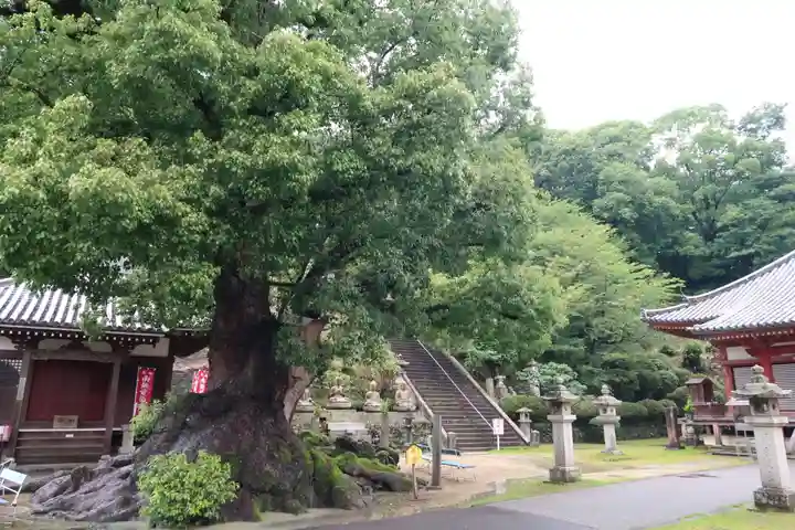 観音寺のその他建物