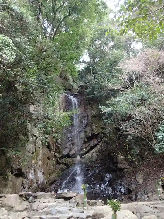 石上神社の自然